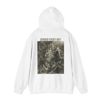 Classical Angel Art Hoodie - 'Spared Every Day' Vintage Renaissance Graphic Pullover