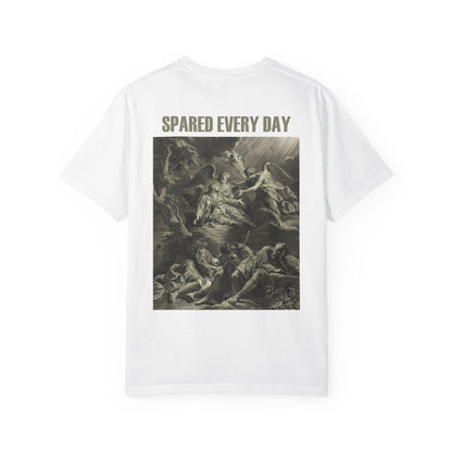 Classical Angel Art T-Shirt - 'SparedEveryDay' Vintage Renaissance Graphic Pullover